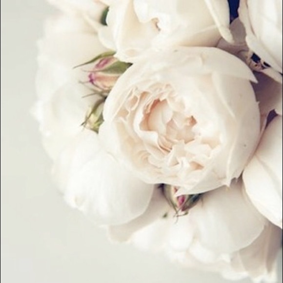 Meet your Posher, Anna - Picture 1 of 1